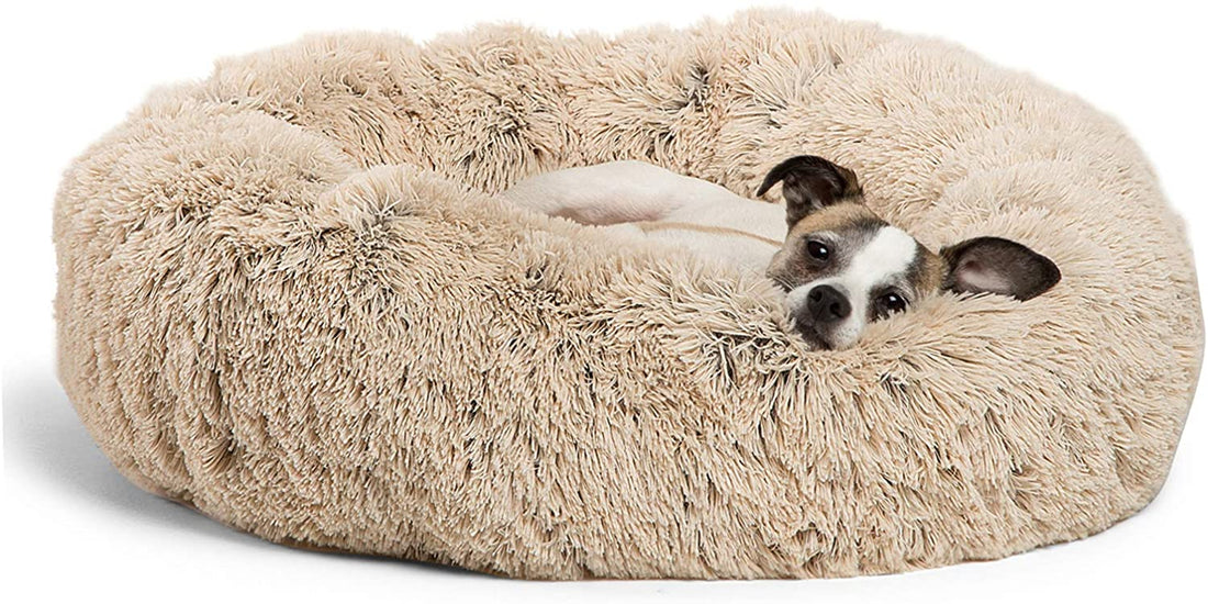 Cuddle Puddle  Paws and Purs  Anti anxiety  Anti-anxiety dog bed  Anxiety pet bed  Antianxiety pet bed  Pawsandpurs  Paws Anti anxiety bed for dogs 