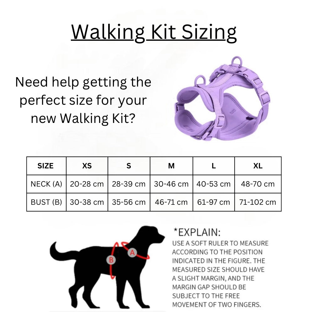 Walking Kit