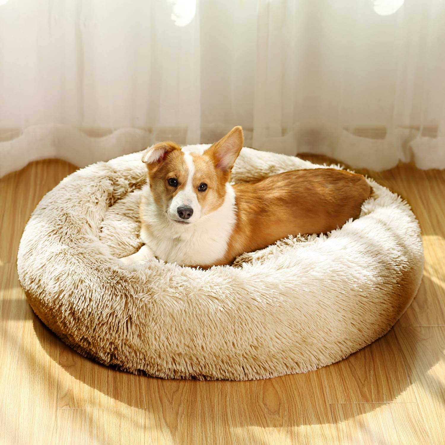 Xl dog bed. Anti furry. Dog beds amazon. Extra large dog beds. Raised dog beds. Washable dog bed. Washable dog beds. Dog couch cover. Extra large dog bed. Medium dog bed. Pet couch cover. Sofa covers for pets. Calming dog beds. Cheap dog beds. Anti anxiety dog bed. Fluffy cat. Cat anxiety relief. Eases anxiety. Reduces nervous tension Eases pain. Drug free remedy. Stylish. Safe for your pet. Machine washable. corrects posture 